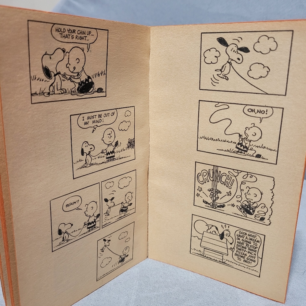 It's For You, Snoopy Book - Picture 5 of 5